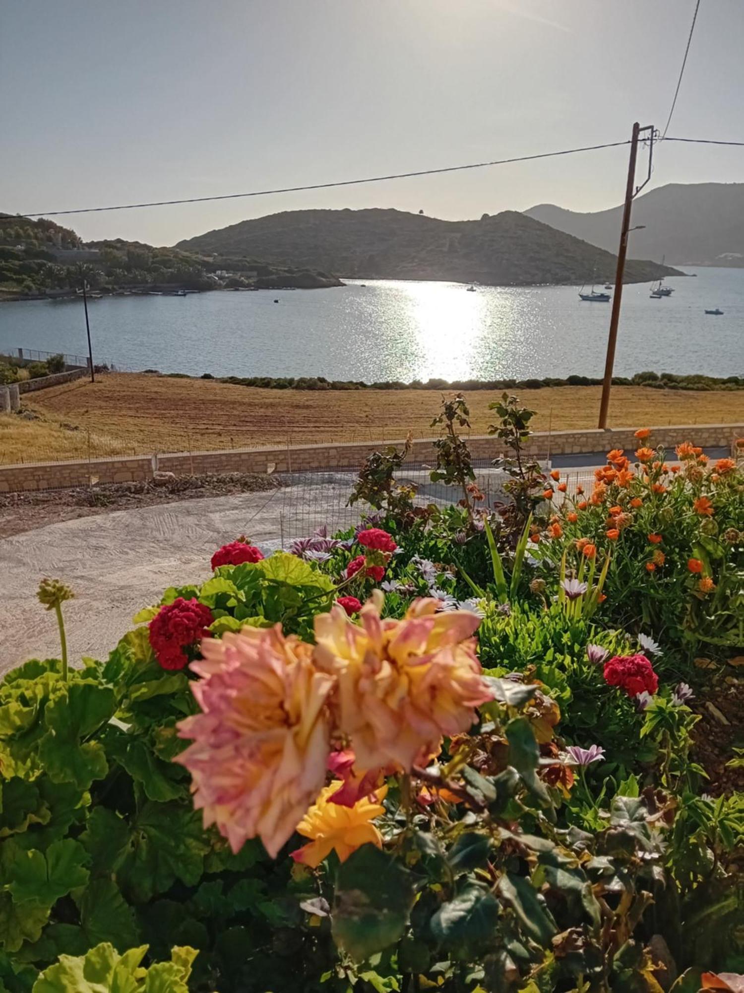 Aggeliki'S Apartments Lipsi 외부 사진